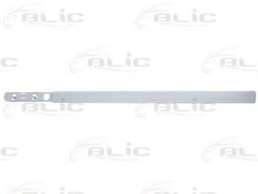 Облицовка / защитная накладка, дверь BLIC 5703-04-5514575P