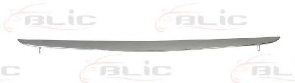 Облицовка / защитная накладка, облицовка радиатора SCHLIECKMANN 160316