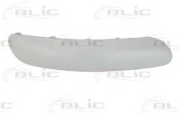 Облицовка / защитная накладка, буфер BLIC 6502-07-0519921P