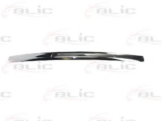 Облицовка / защитная накладка, облицовка радиатора BLIC 6502-07-2533993P