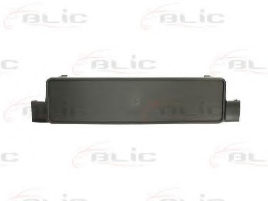 Кронштейн щитка номерного знака BLIC 6509-01-9539920P