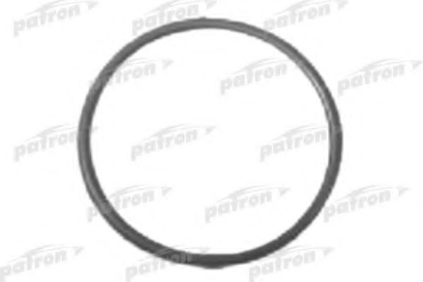 Уплотнительное кольцо PATRON P18-0016