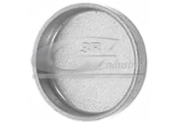 Пробка антифриза 3RG 84000