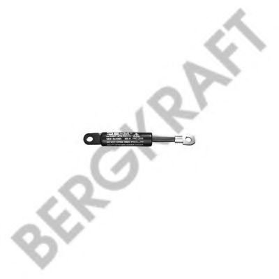 Газовая пружина, фронтальная крышка BERGKRAFT BK2939421SP