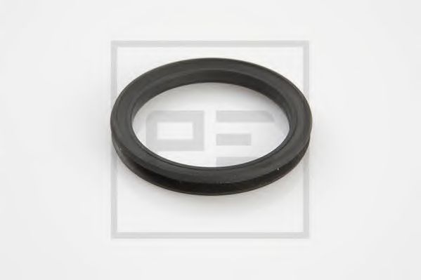 Уплотнительное кольцо DT 420025