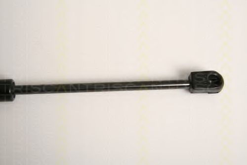 Газовая пружина, заднее стекло TRISCAN 8126144