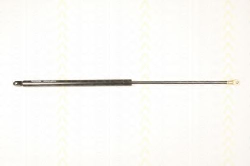 Газовая пружина, фронтальная крышка TRISCAN 8710 9023