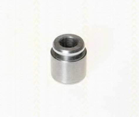 Поршень, корпус скобы тормоза TRISCAN 8170 232801