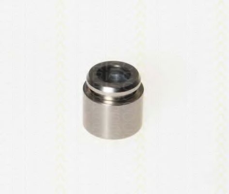 Поршень, корпус скобы тормоза TRISCAN 8170 233029