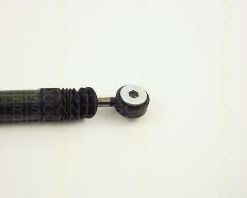 Амортизатор, поликлиновой ремень TRISCAN 211597