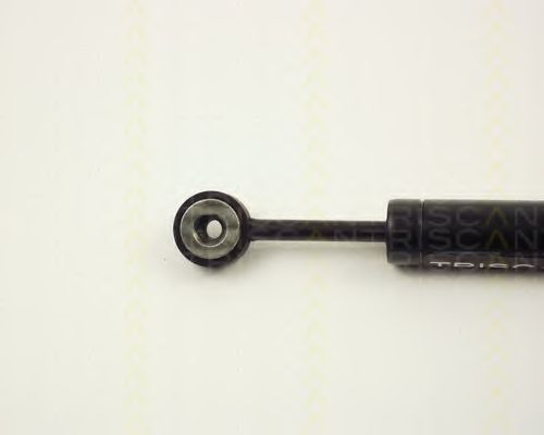 Амортизатор, поликлиновой ремень TRISCAN 209109