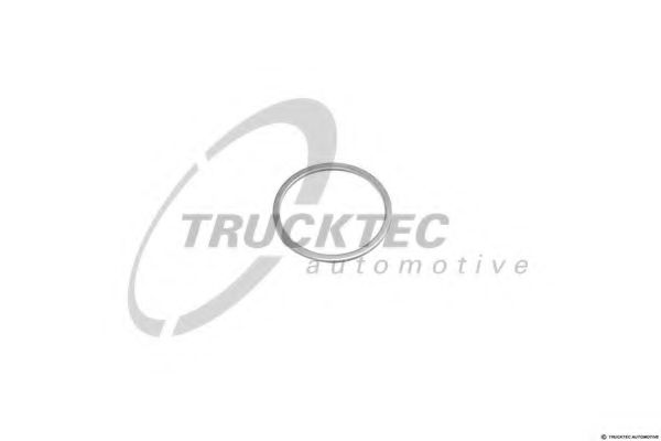 Уплотнительное кольцо TRUCKTEC AUTOMOTIVE 01.67.013