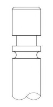 Выпускной клапан INTERVALVES 2157.239