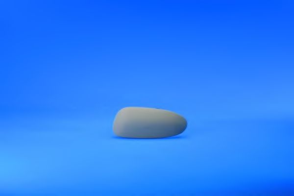 Корпус, наружное зеркало SPJ V-0028