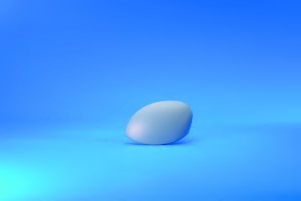 Корпус, наружное зеркало SPJ V-0034