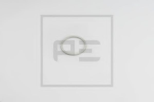 Уплотнительное кольцо PE Automotive 076.220-00A
