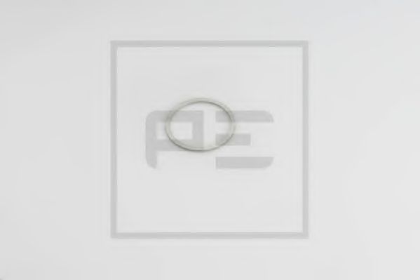 Уплотнительное кольцо PE Automotive 076.223-00A