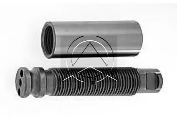 Ремкомплект, палец ушка рессоры SIDEM 68760 KIT