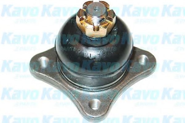 Несущий / направляющий шарнир KAVO PARTS SBJ-5516