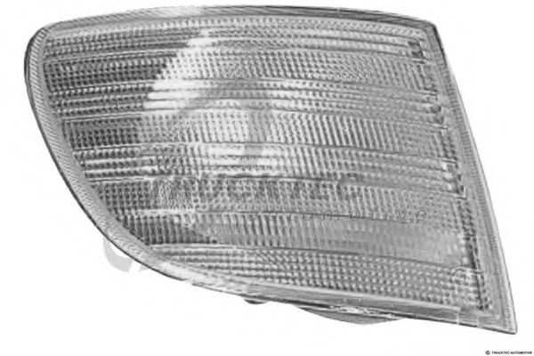 Корпус, фонарь указателя поворота TRUCKTEC AUTOMOTIVE 02.58.098