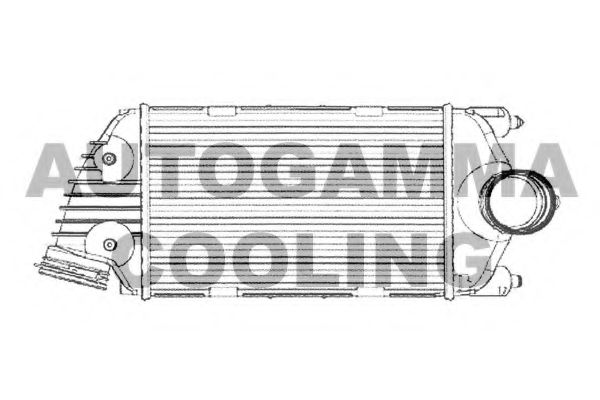 Интеркулер AUTOGAMMA 105379