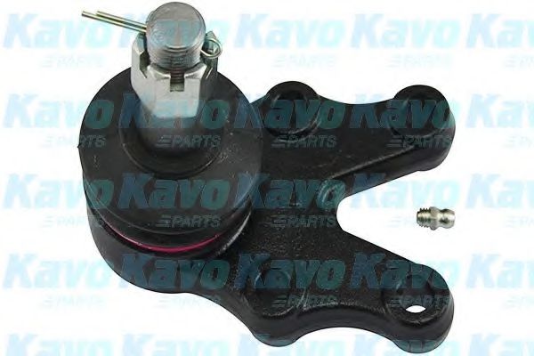 Несущий / направляющий шарнир KAVO PARTS SBJ-6520