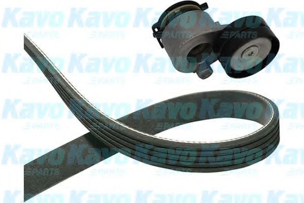 Комплект клинового ремня KAVO PARTS DKM-6511