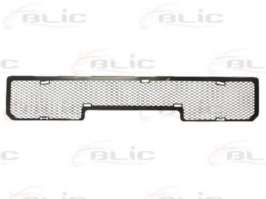 Решетка вентилятора, буфер BLIC 6502-07-6435910P